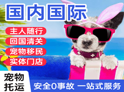呼伦贝尔机场空运国际宠物托运 【国